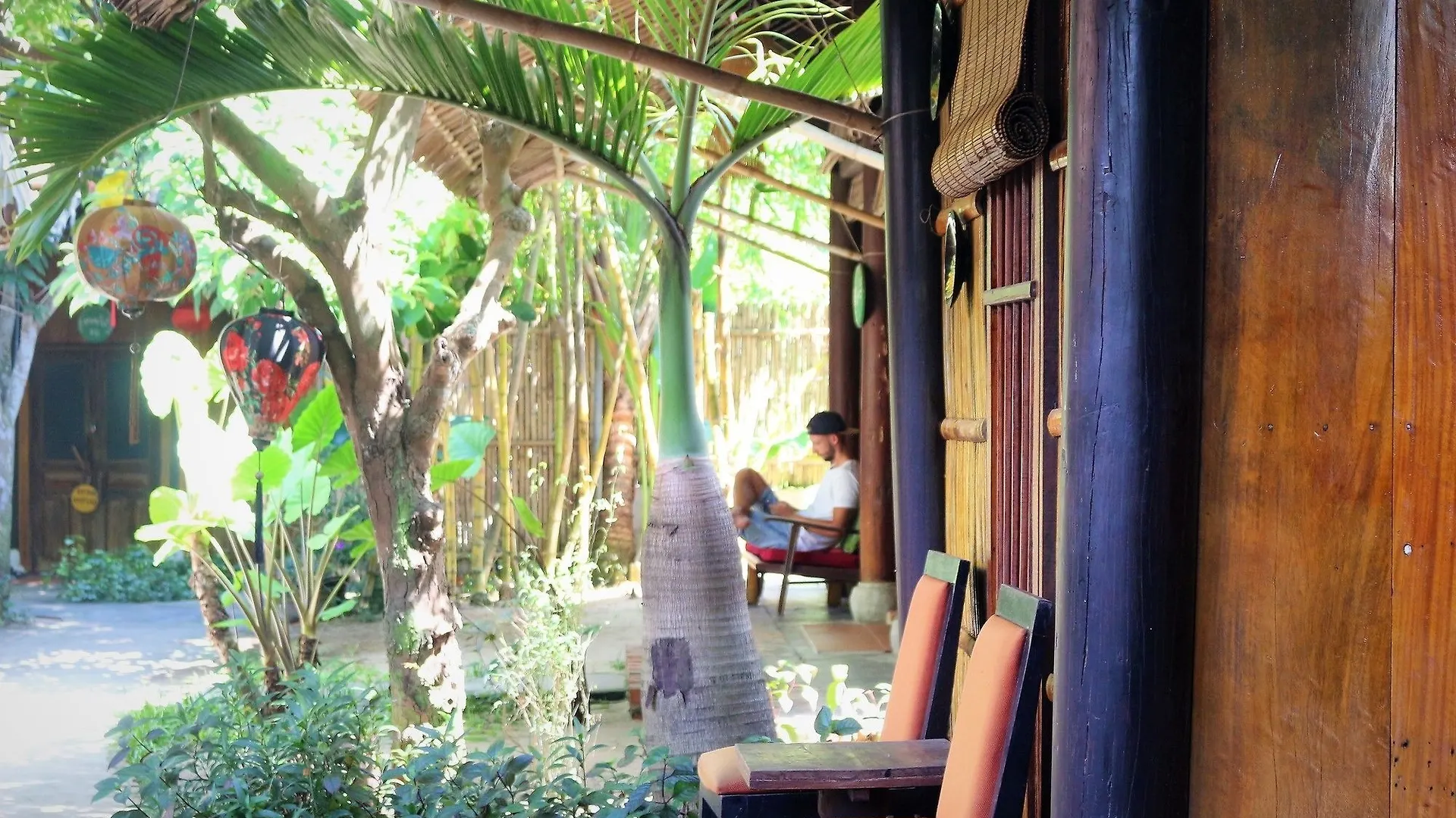 מלון הוי אן Under The Coconut Tree 3*,  וייטנאם
